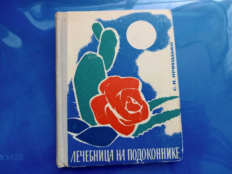 С.Н. Приходько. Больница на подоконнике