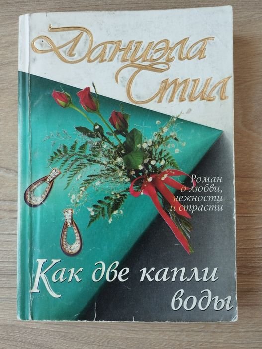 Д. Стил. Роман
