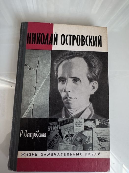 Н. Островский. Николай Островский. Биография