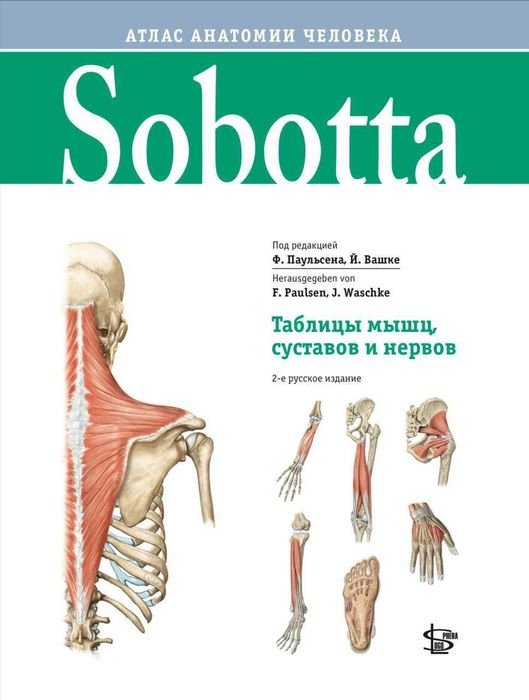 Ф. Паульсен. Атлас анатомии человека