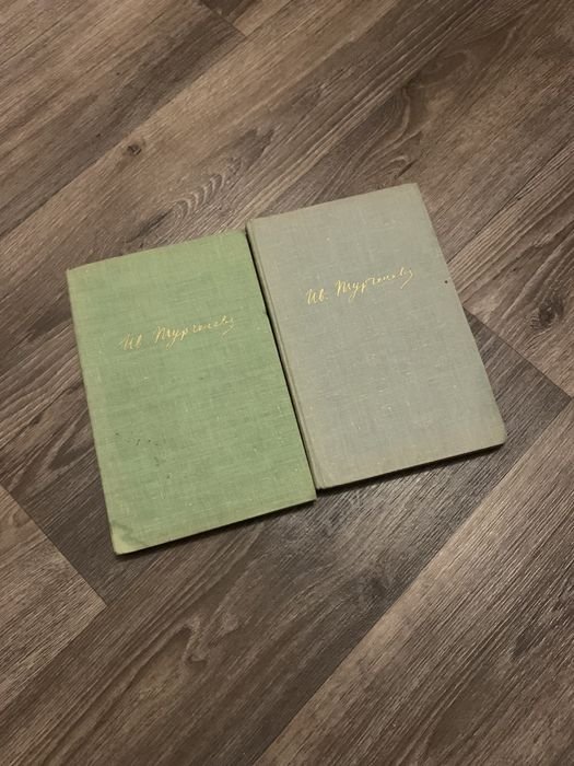 И.С. Тургенев. Собрание сочинений. Том 6, 7