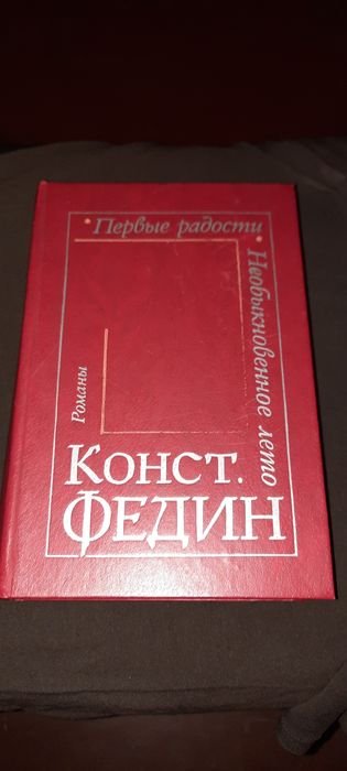 К. Федин. Первые радости, Необыкновенное лето