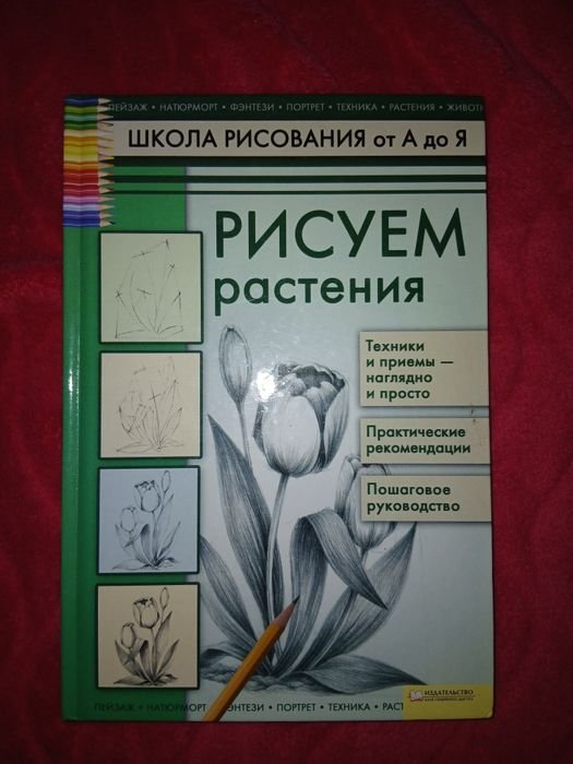 Рисуем растения