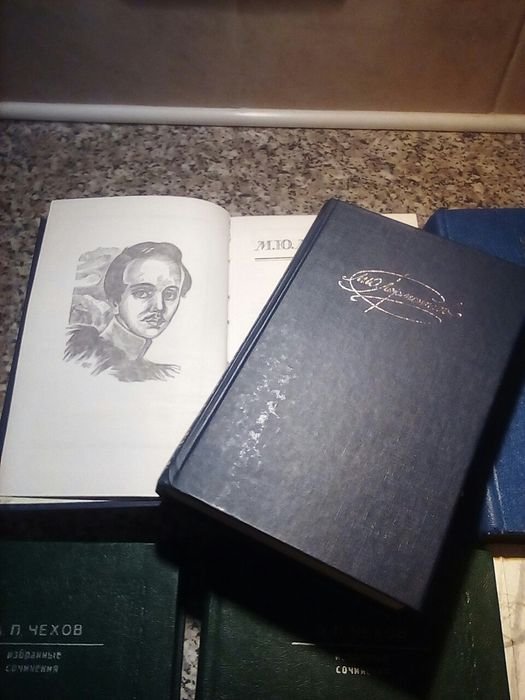 М.Ю. Лермонтов. Лермонтов (2 книги)