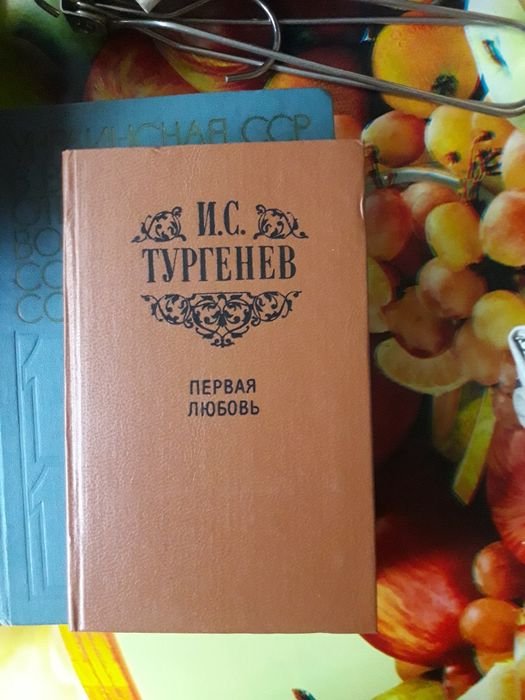 И.С. Тургенев. Первая любовь