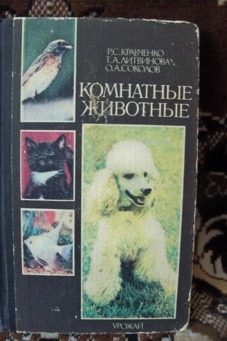 Комнатные животные