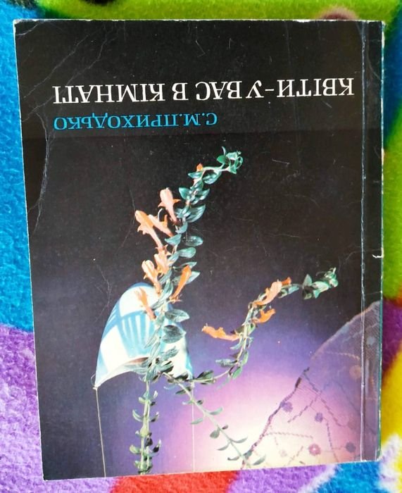 Приходько. Цветы у вас в комнате