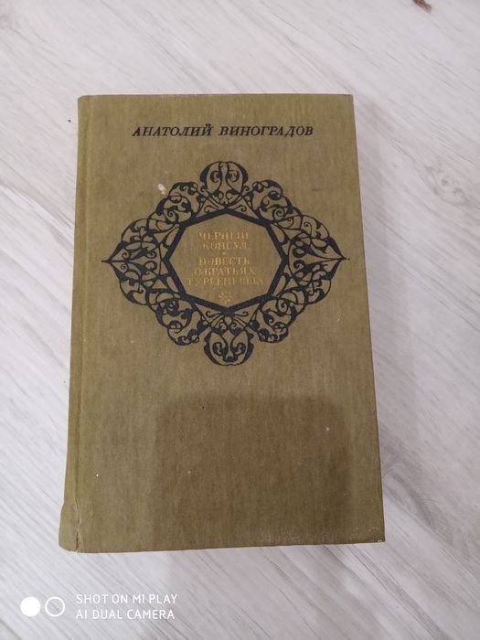 А. Виноградов. Черний консул