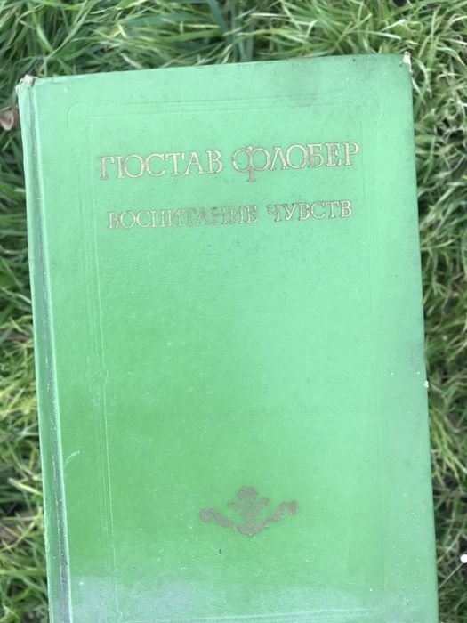 Г. Флобер. Воспитание чувств