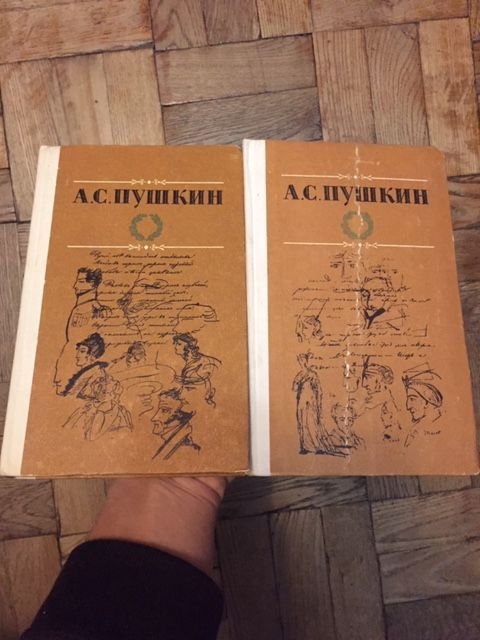 А.С. Пушкин. Избранные произведения в двух томах