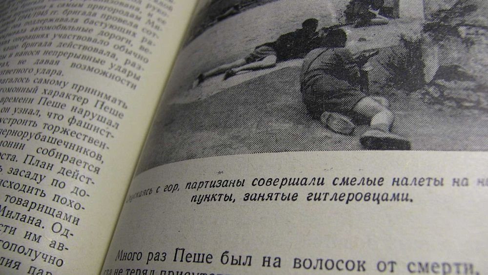 А. Манусевич, Ф. Молок. Герои сопротивления. Очерки