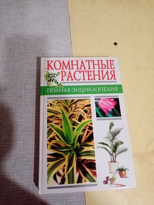 Комнатные растения
