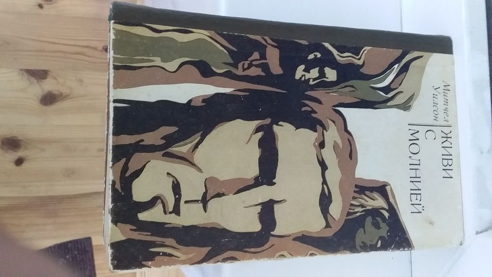 М. Уилсон. Живи с молнией