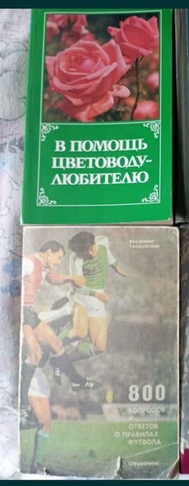 Цветоводу. О правилах футбола
