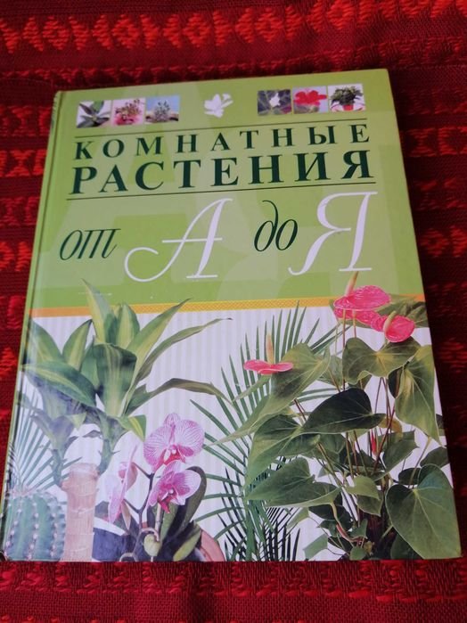 Комнатные растения от А до Я