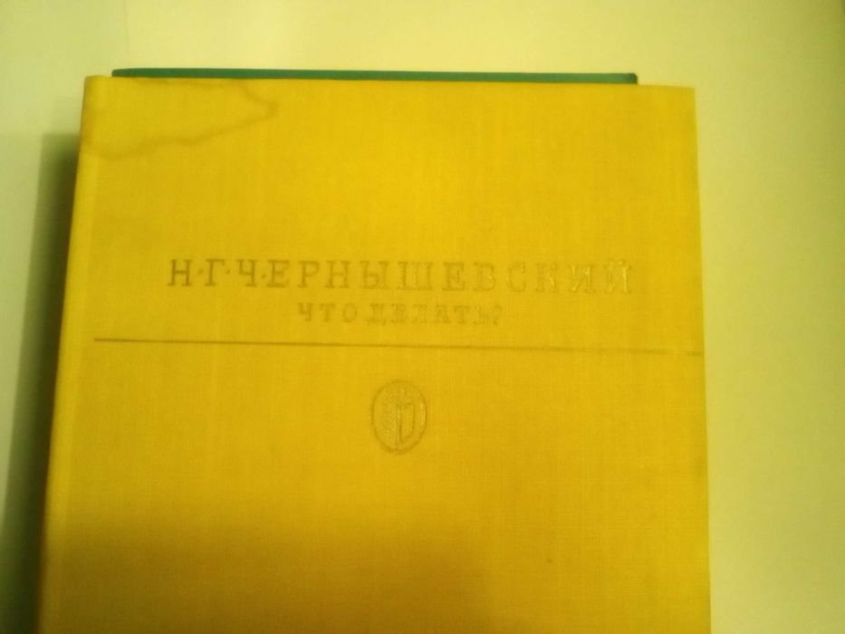 Н. Г. Чернышевский. Что делать?