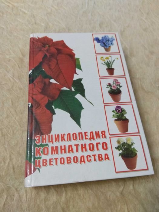 Энциклопедия комнатного цветоводства