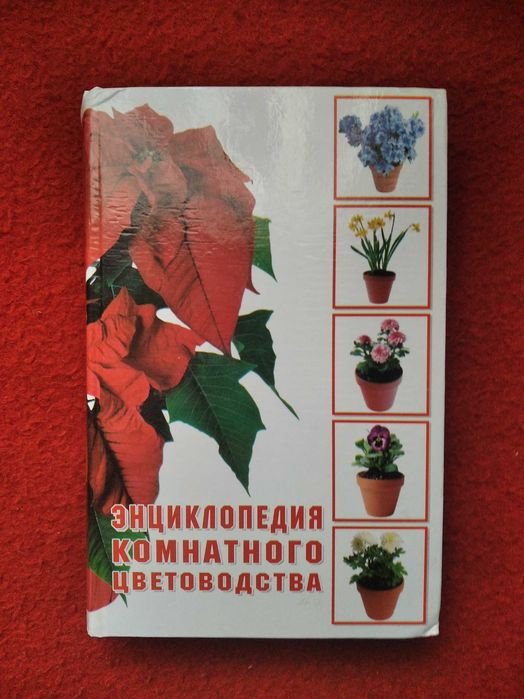 Энциклопедия комнатного цветоводства