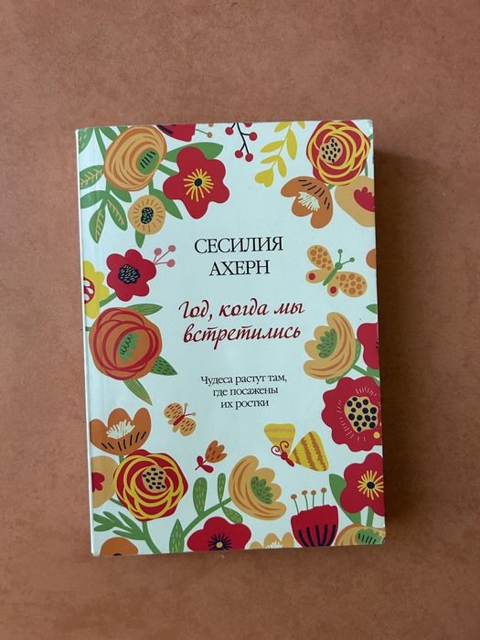 С. Ахерн. Год, когда мы встретились