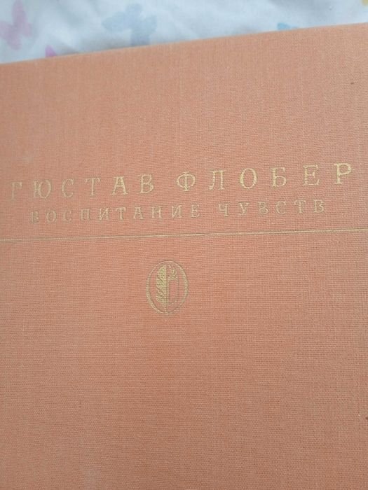 Г. Флобер. Воспитание чувств