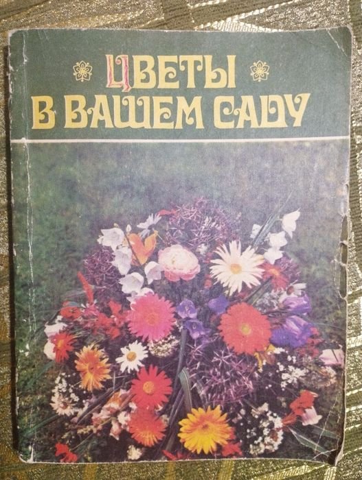 Цветы в вашем саду