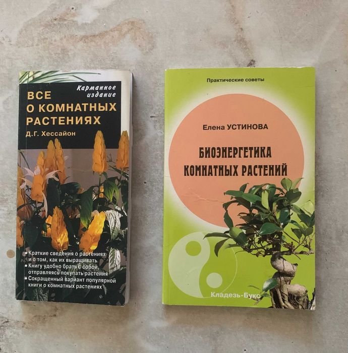 Е. Устинова. Биоэнергетика комнатных растений