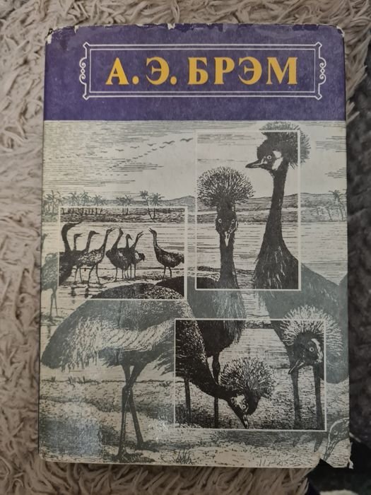 А.Э. Брэм. Жизнь животных
