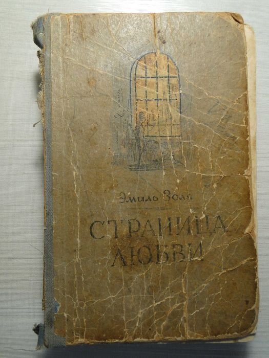 Э. Золя. Страница любви