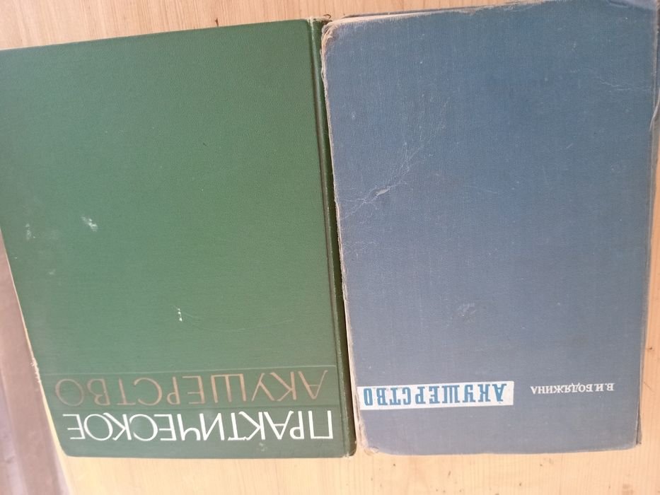 Н. Бодяжин. Практическое акушерство