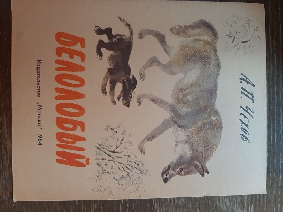 А.П. Чехов. Белолобый