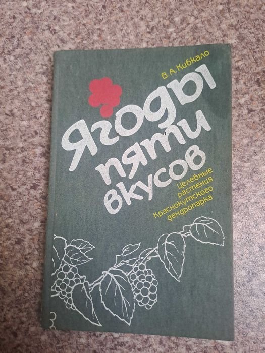 В.А. Кибкало. Ягоды пяти вкусов