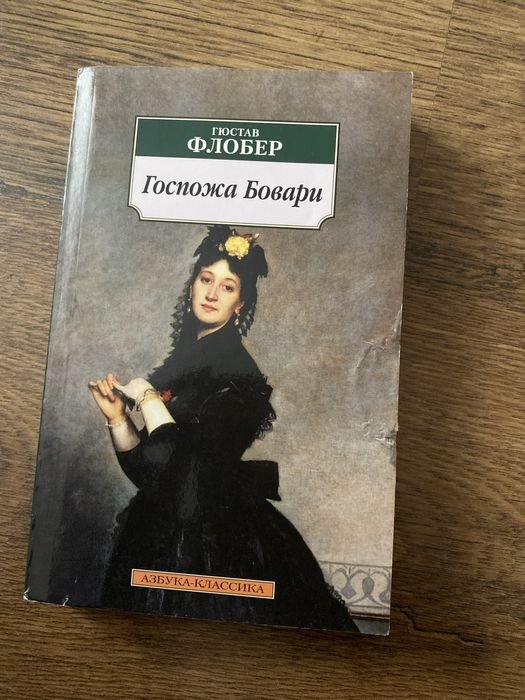 Г. Флобер. Госпожа Бовари