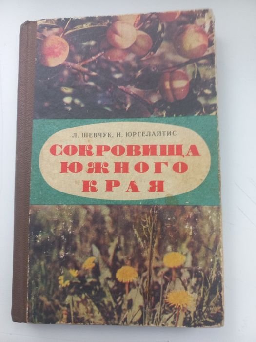 Л. Шевчук, Н. Юргелайтис. Сокровища южного края