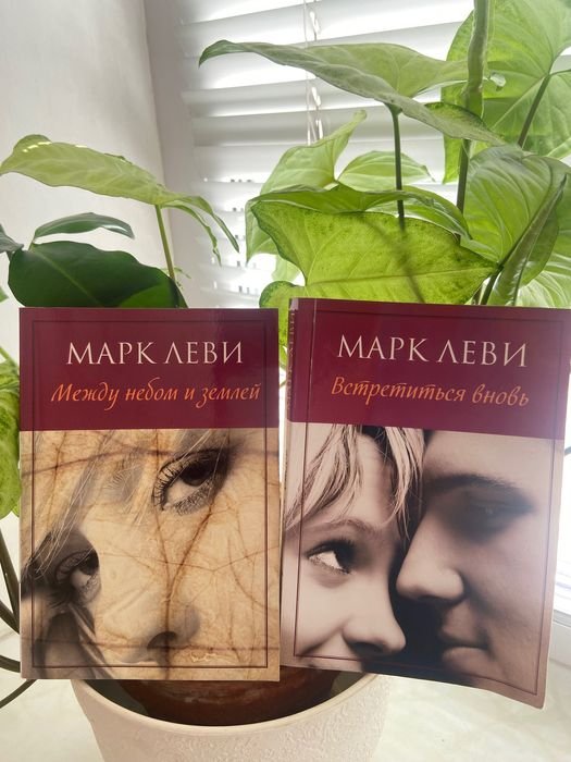 М. Леви. Между небом и землей / Встретимся вновь