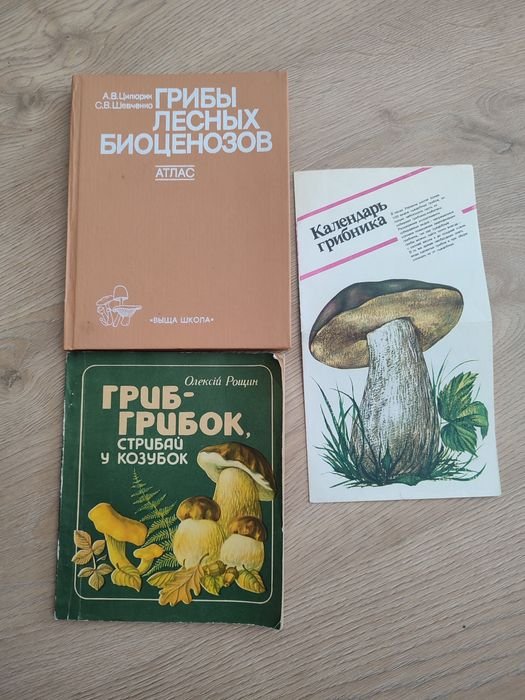 А.В. Цилюрик, С.В. Шевченко. Грибы лесных биоценозов. Атлас
