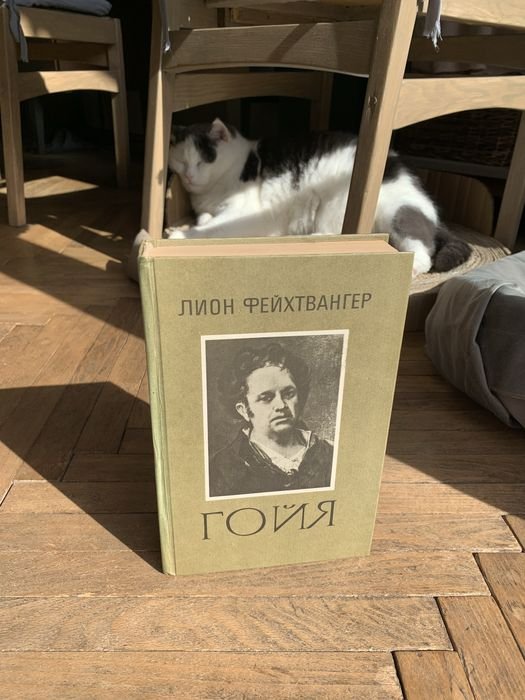Л. Фейхтвангер. Гойя