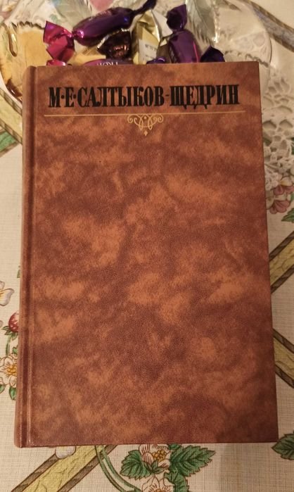 М.Е. Салтыков-Щедрин. Книга