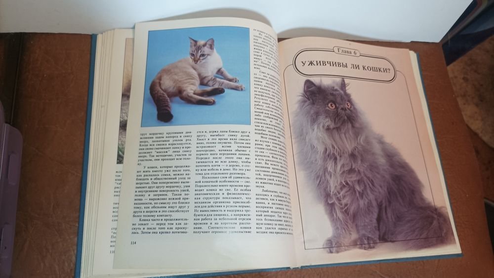 Н. Непомнящий. Кошачье царство
