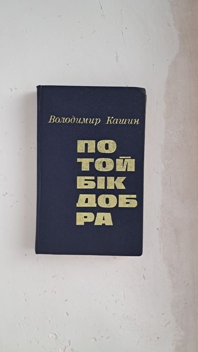 В. Кашин. По той бік добра