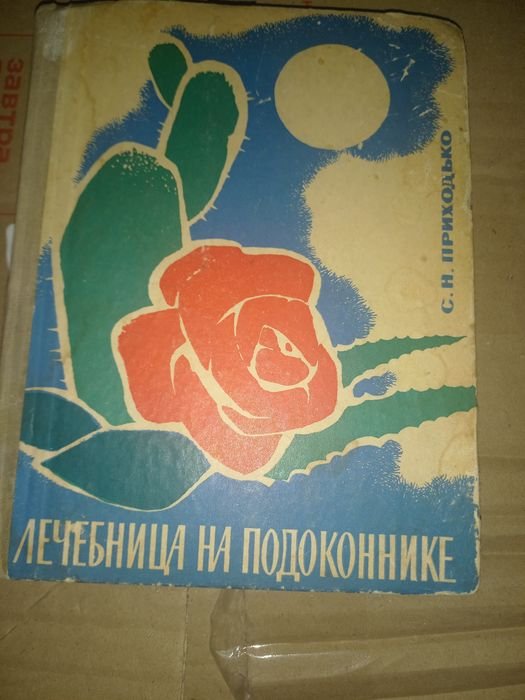 Приходько. Лечебница на подоконнике