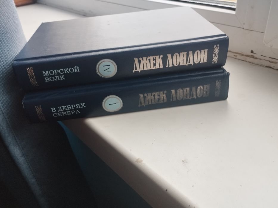 Д. Лондон. Морской волк