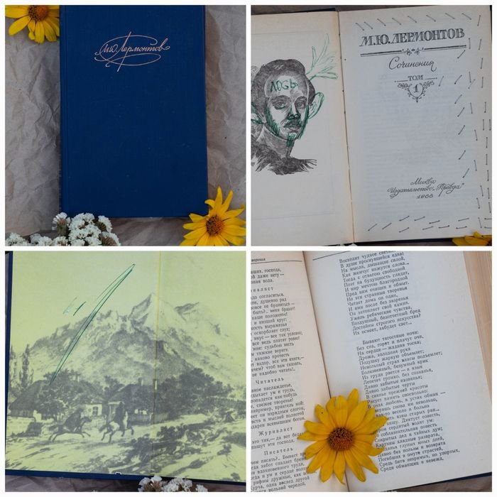 М.Ю. Лермонтов. Книга Том 1