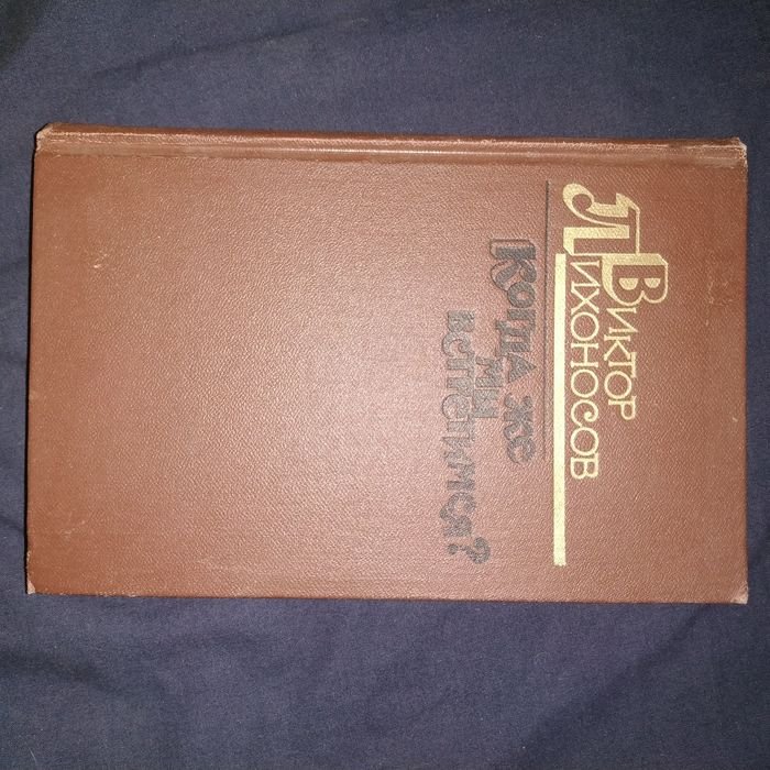 В. Лихоносов. Когда же мы встретимся?