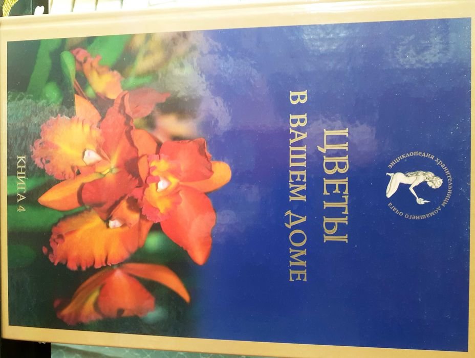 Цветы в вашем доме