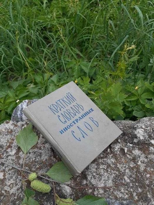С.М. Локшина. Краткий словарь иностранных слов