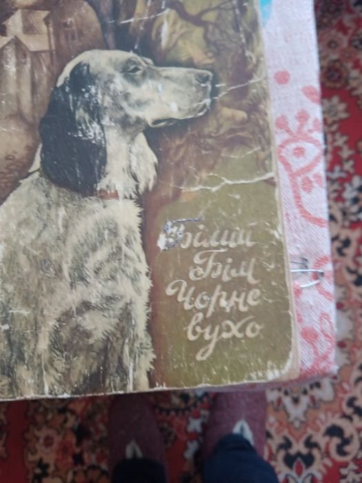 Г. Троепольский. Белый Бим Черное ухо