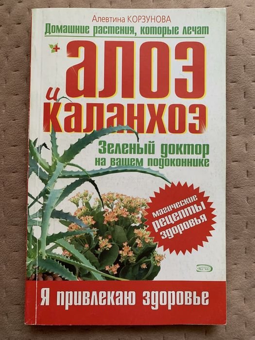 А. Корзунова. Алоэ и каланхоэ