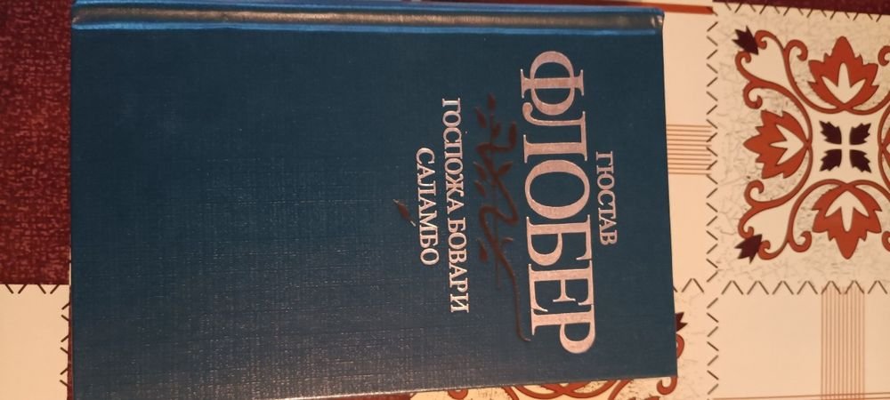Г. Флобер. Госпожа Бовари