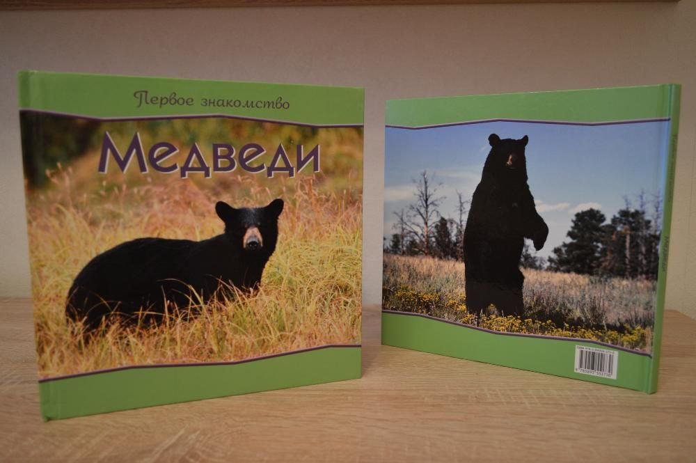 Медведи. Первое знакомство