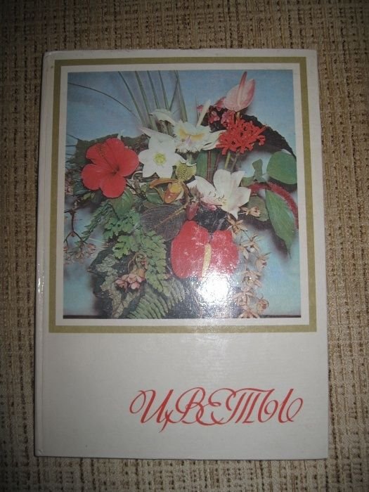Цветы